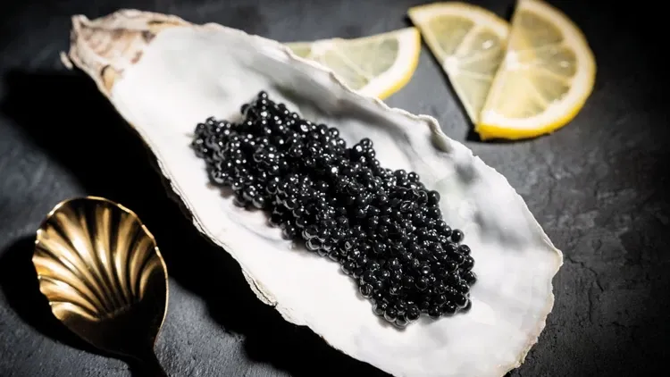 Zenginlere havyar Rize’den gidecek