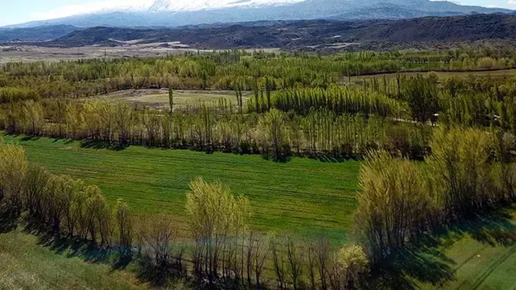 2B arazilerinde tapu süreci nasıl olacak? Detaylar belli oldu